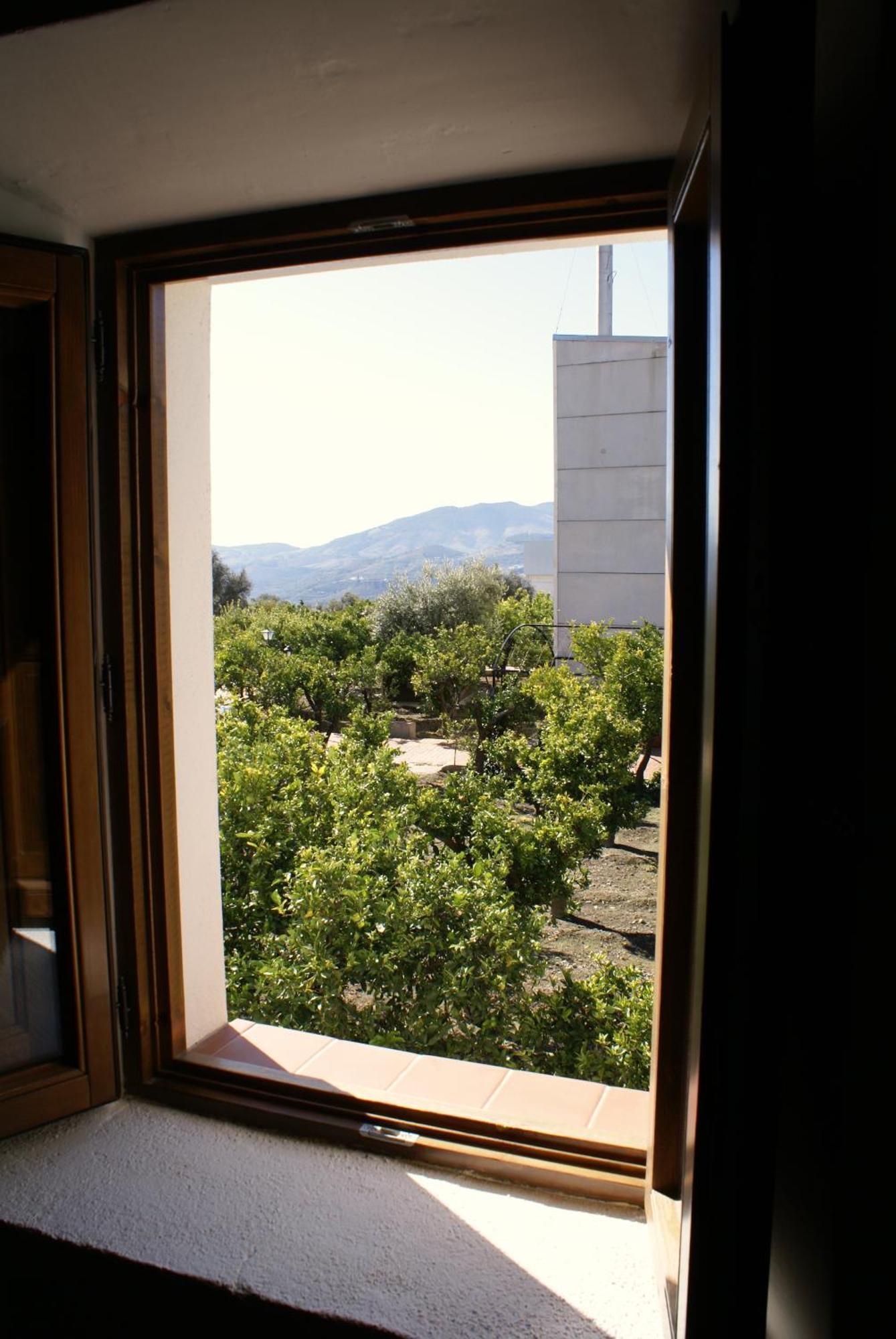 La Canota 2-Floors King Rooms Adults Only Talara Oda fotoğraf