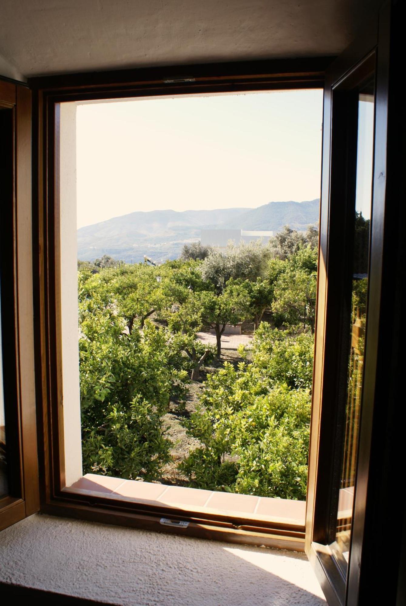 La Canota 2-Floors King Rooms Adults Only Talara Oda fotoğraf